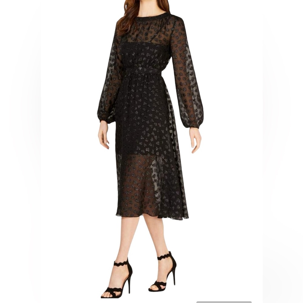 Elegant Black Sheer Dress